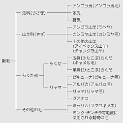系統図