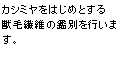 カシミヤをはじめとする獣毛繊維の鑑別を行います。